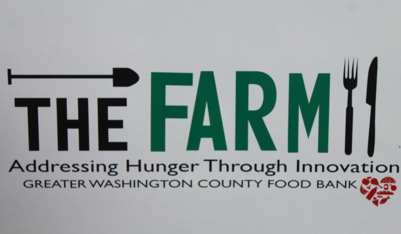 LF20190706-foodbank-3.jpg